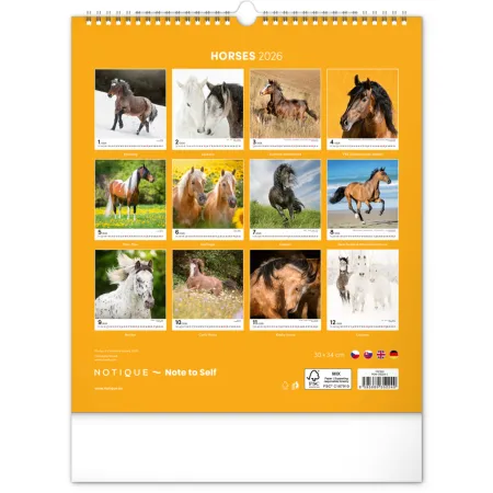 NOTIQUE Nástěnný kalendář Koně 2026, 30 x 34 cm