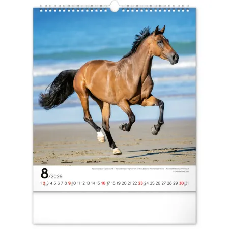 NOTIQUE Nástěnný kalendář Koně 2026, 30 x 34 cm
