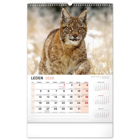 NOTIQUE Nástěnný kalendář Myslivecký 2026, 33 x 46 cm