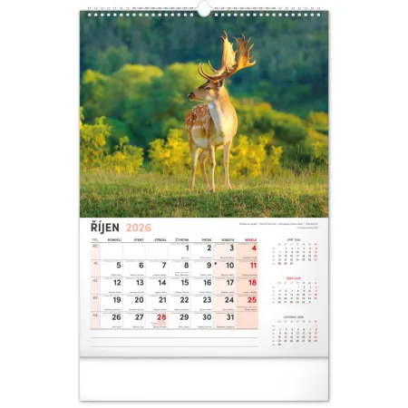 NOTIQUE Nástěnný kalendář Myslivecký 2026, 33 x 46 cm