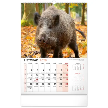 NOTIQUE Nástěnný kalendář Myslivecký 2026, 33 x 46 cm