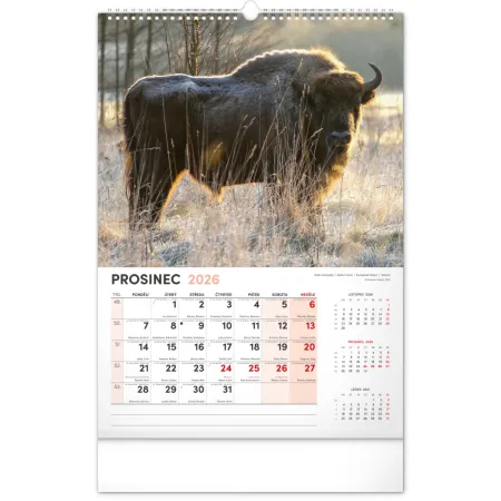 NOTIQUE Nástěnný kalendář Myslivecký 2026, 33 x 46 cm