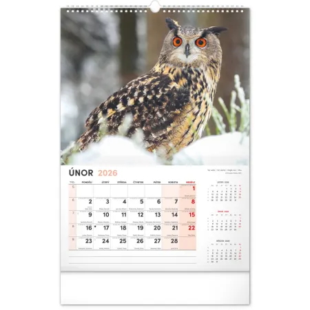 NOTIQUE Nástěnný kalendář Myslivecký 2026, 33 x 46 cm