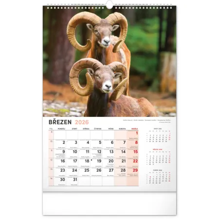 NOTIQUE Nástěnný kalendář Myslivecký 2026, 33 x 46 cm
