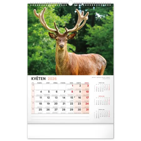 NOTIQUE Nástěnný kalendář Myslivecký 2026, 33 x 46 cm