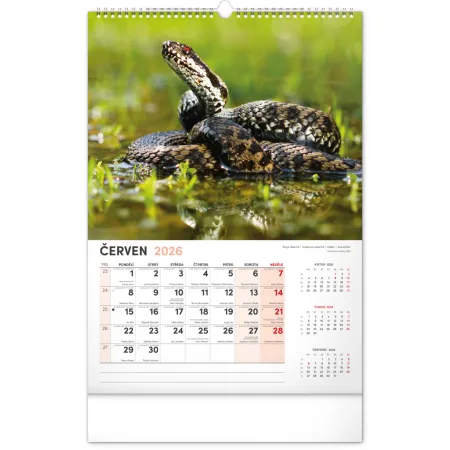 NOTIQUE Nástěnný kalendář Myslivecký 2026, 33 x 46 cm