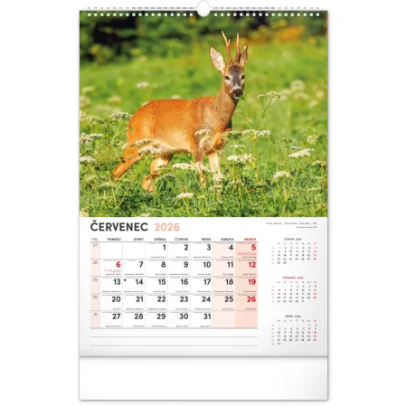 NOTIQUE Nástěnný kalendář Myslivecký 2026, 33 x 46 cm