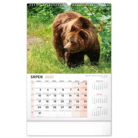 NOTIQUE Nástěnný kalendář Myslivecký 2026, 33 x 46 cm