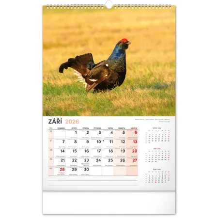 NOTIQUE Nástěnný kalendář Myslivecký 2026, 33 x 46 cm