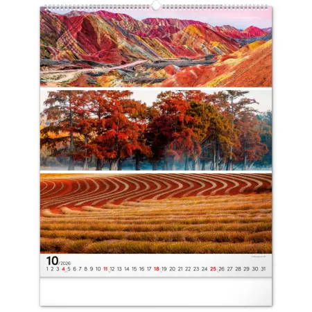 NOTIQUE Nástěnný kalendář Paleta 2026, 48 x 56 cm