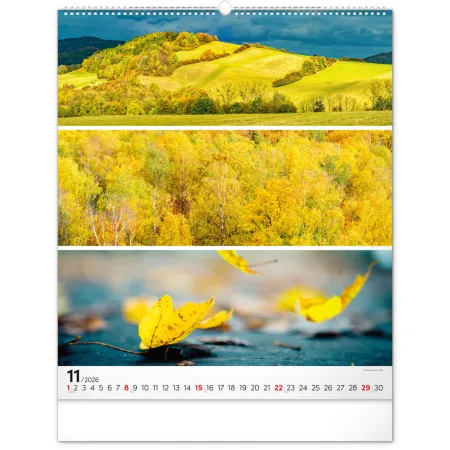 NOTIQUE Nástěnný kalendář Paleta 2026, 48 x 56 cm