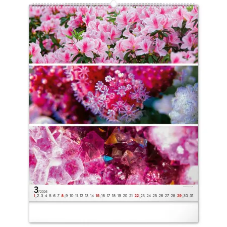 NOTIQUE Nástěnný kalendář Paleta 2026, 48 x 56 cm