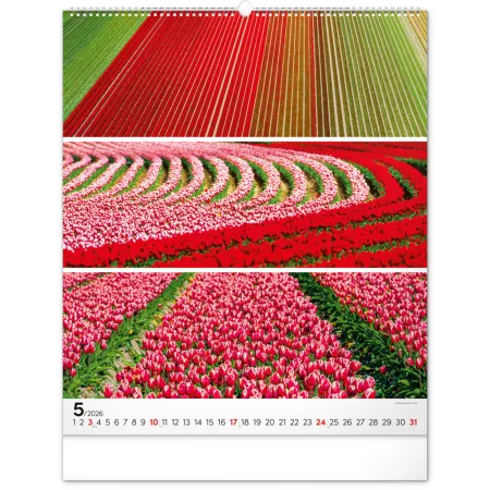 NOTIQUE Nástěnný kalendář Paleta 2026, 48 x 56 cm