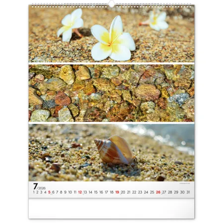 NOTIQUE Nástěnný kalendář Paleta 2026, 48 x 56 cm