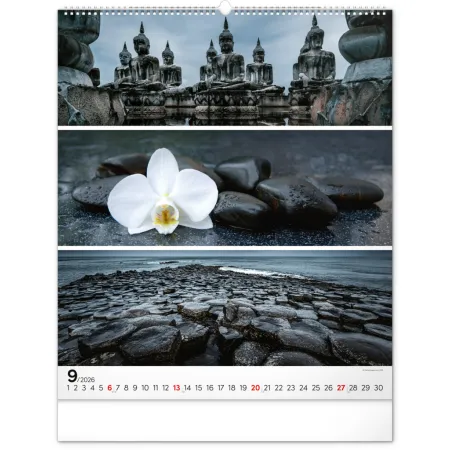 NOTIQUE Nástěnný kalendář Paleta 2026, 48 x 56 cm