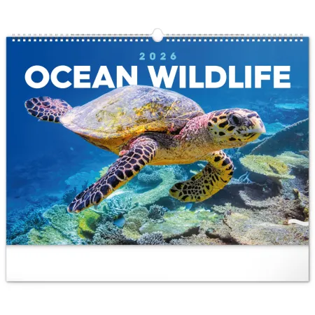 NOTIQUE Nástěnný kalendář Podmořský svět 2026, 48 x 33 cm