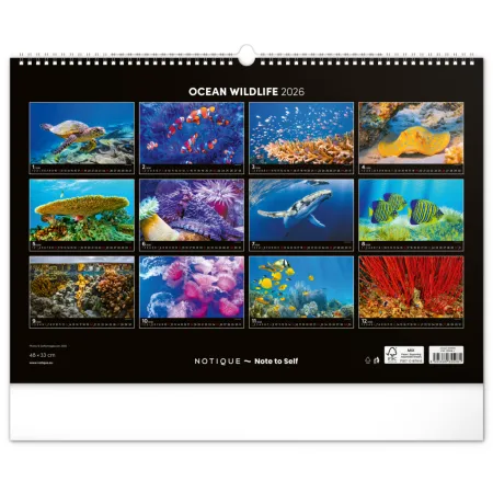 NOTIQUE Nástěnný kalendář Podmořský svět 2026, 48 x 33 cm