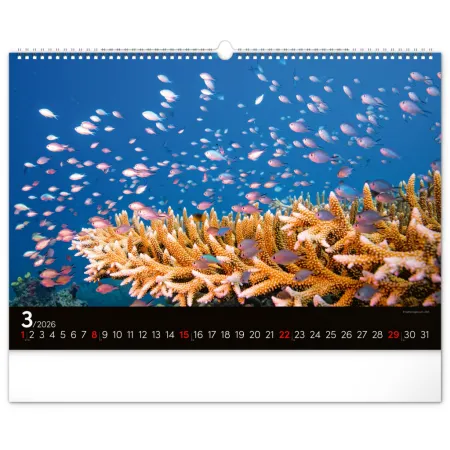 NOTIQUE Nástěnný kalendář Podmořský svět 2026, 48 x 33 cm