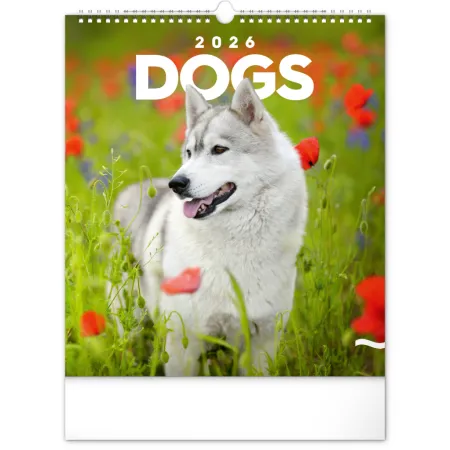 NOTIQUE Nástěnný kalendář Psi 2026, 30 x 34 cm