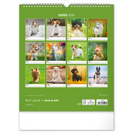 NOTIQUE Nástěnný kalendář Psi 2026, 30 x 34 cm