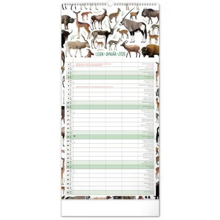NOTIQUE Nástěnný kalendář Rodinný plánovací Animalium 2026, 21 x 42 cm