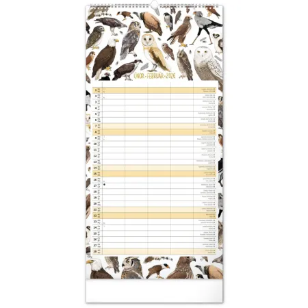 NOTIQUE Nástěnný kalendář Rodinný plánovací Animalium 2026, 21 x 42 cm