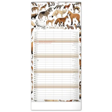 NOTIQUE Nástěnný kalendář Rodinný plánovací Animalium 2026, 21 x 42 cm