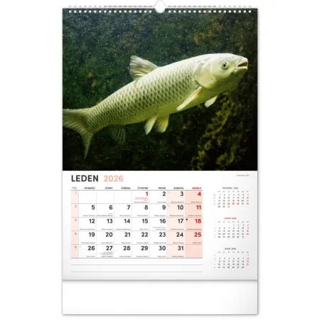 NOTIQUE Nástěnný kalendář Rybářský 2026, 33 x 46 cm