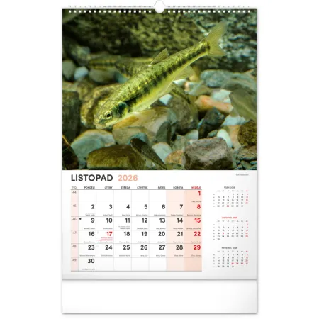 NOTIQUE Nástěnný kalendář Rybářský 2026, 33 x 46 cm