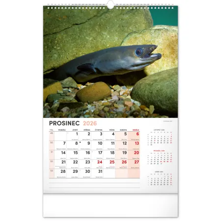 NOTIQUE Nástěnný kalendář Rybářský 2026, 33 x 46 cm