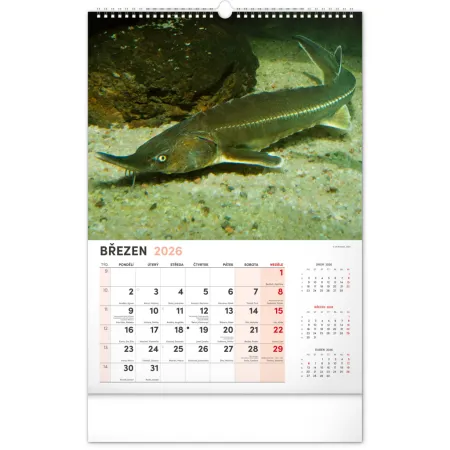 NOTIQUE Nástěnný kalendář Rybářský 2026, 33 x 46 cm