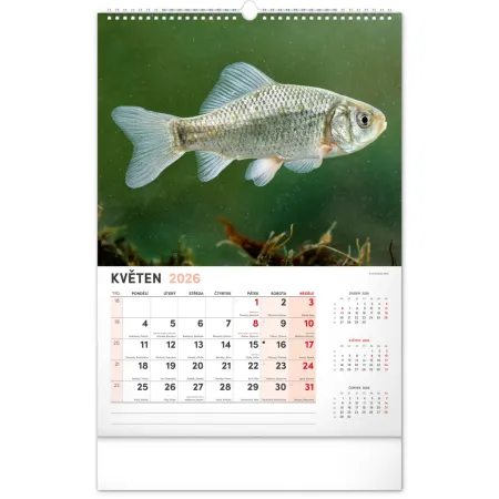 NOTIQUE Nástěnný kalendář Rybářský 2026, 33 x 46 cm