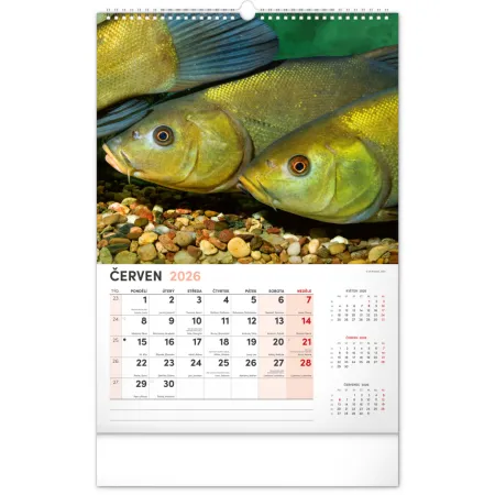 NOTIQUE Nástěnný kalendář Rybářský 2026, 33 x 46 cm