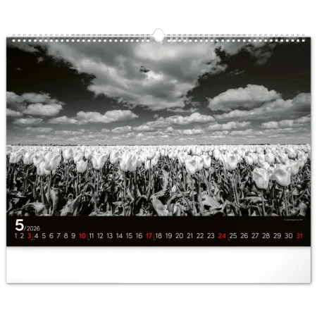 NOTIQUE Nástěnný kalendář Snová krajina 2026, 48 x 33 cm
