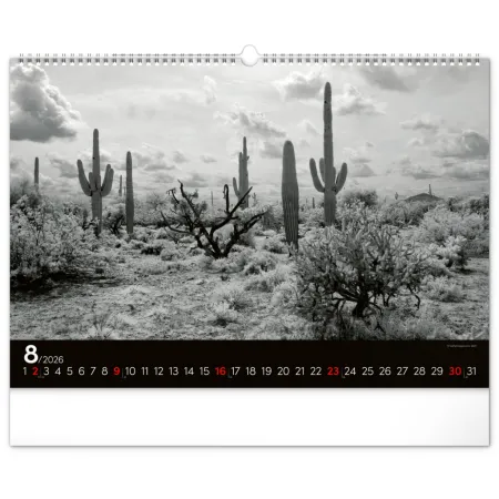 NOTIQUE Nástěnný kalendář Snová krajina 2026, 48 x 33 cm