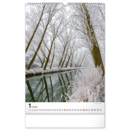 NOTIQUE Nástěnný kalendář Stromy 2026, 33 x 46 cm