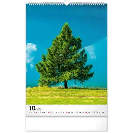 NOTIQUE Nástěnný kalendář Stromy 2026, 33 x 46 cm