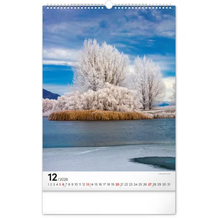 NOTIQUE Nástěnný kalendář Stromy 2026, 33 x 46 cm