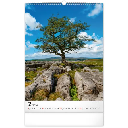 NOTIQUE Nástěnný kalendář Stromy 2026, 33 x 46 cm