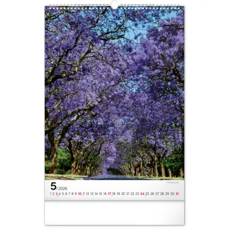 NOTIQUE Nástěnný kalendář Stromy 2026, 33 x 46 cm