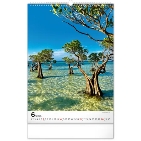 NOTIQUE Nástěnný kalendář Stromy 2026, 33 x 46 cm