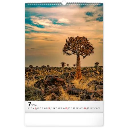 NOTIQUE Nástěnný kalendář Stromy 2026, 33 x 46 cm