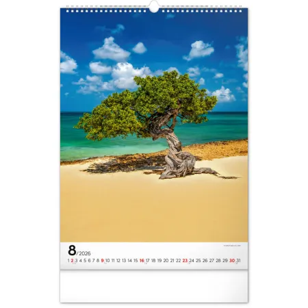 NOTIQUE Nástěnný kalendář Stromy 2026, 33 x 46 cm