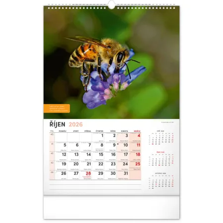 NOTIQUE Nástěnný Včelařský kalendář 2026, 33 x 46 cm