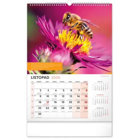 NOTIQUE Nástěnný Včelařský kalendář 2026, 33 x 46 cm