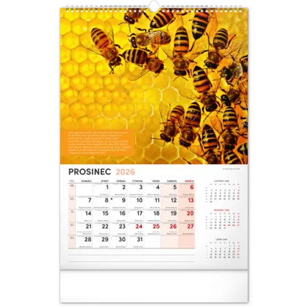 NOTIQUE Nástěnný Včelařský kalendář 2026, 33 x 46 cm
