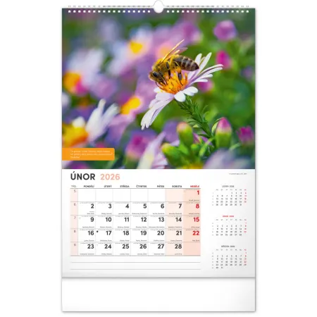 NOTIQUE Nástěnný Včelařský kalendář 2026, 33 x 46 cm