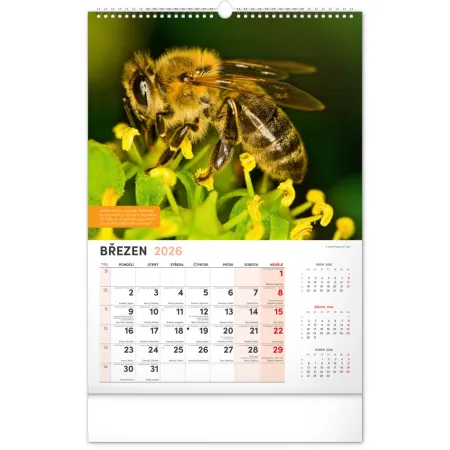 NOTIQUE Nástěnný Včelařský kalendář 2026, 33 x 46 cm