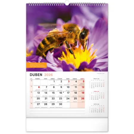 NOTIQUE Nástěnný Včelařský kalendář 2026, 33 x 46 cm