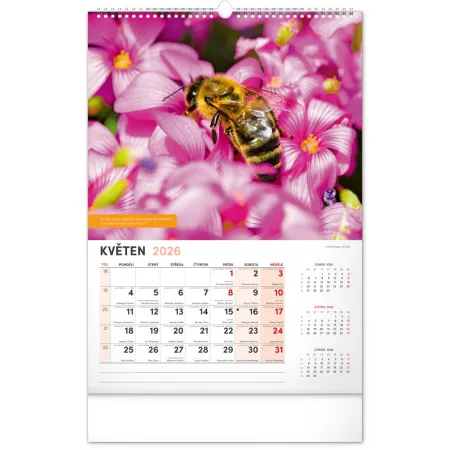 NOTIQUE Nástěnný Včelařský kalendář 2026, 33 x 46 cm